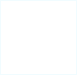 LG-300x294